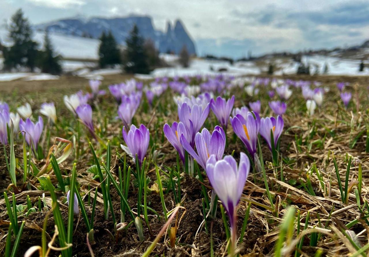 App. Cesa Vedla Ortisei Exterior foto