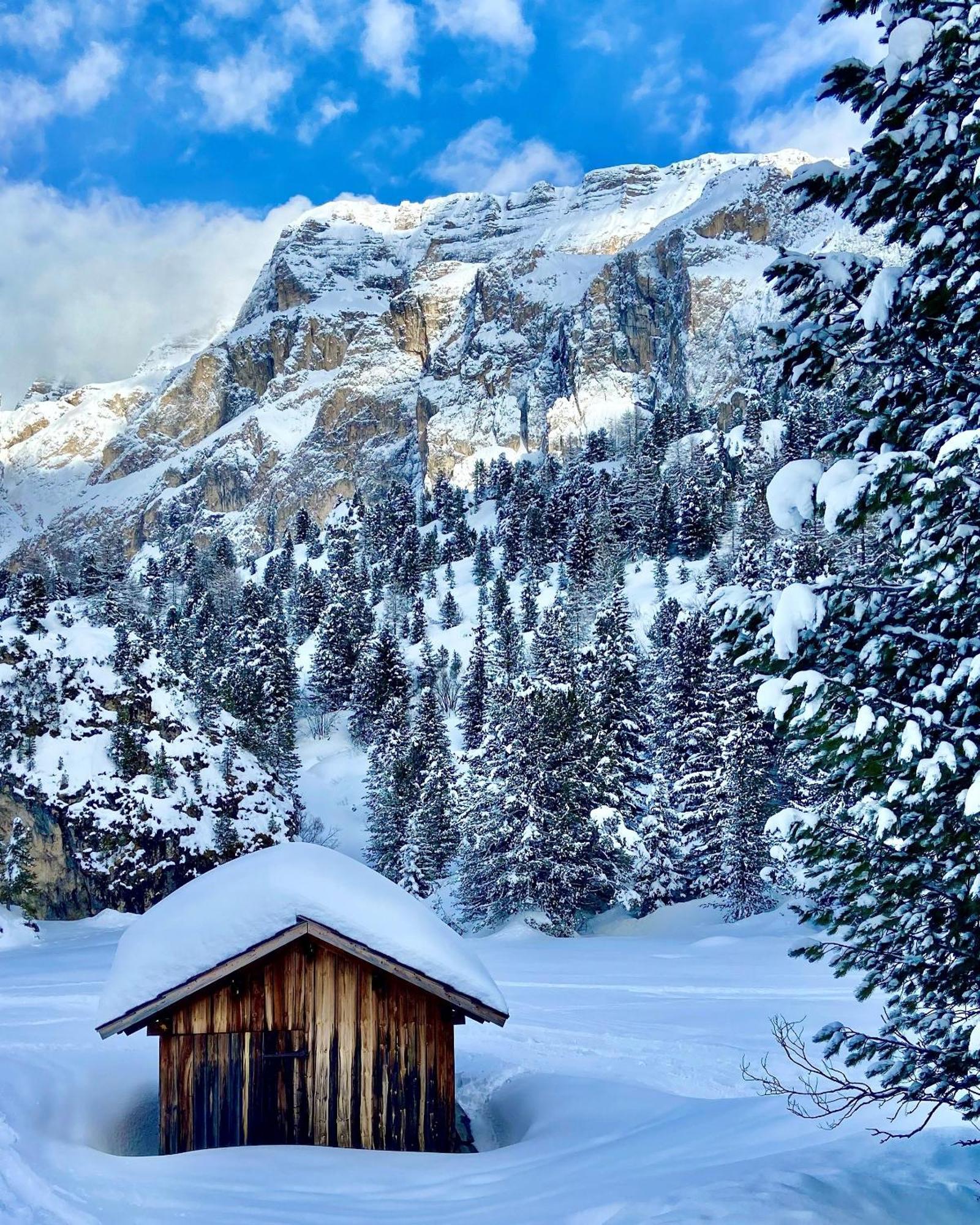 App. Cesa Vedla Ortisei Exterior foto